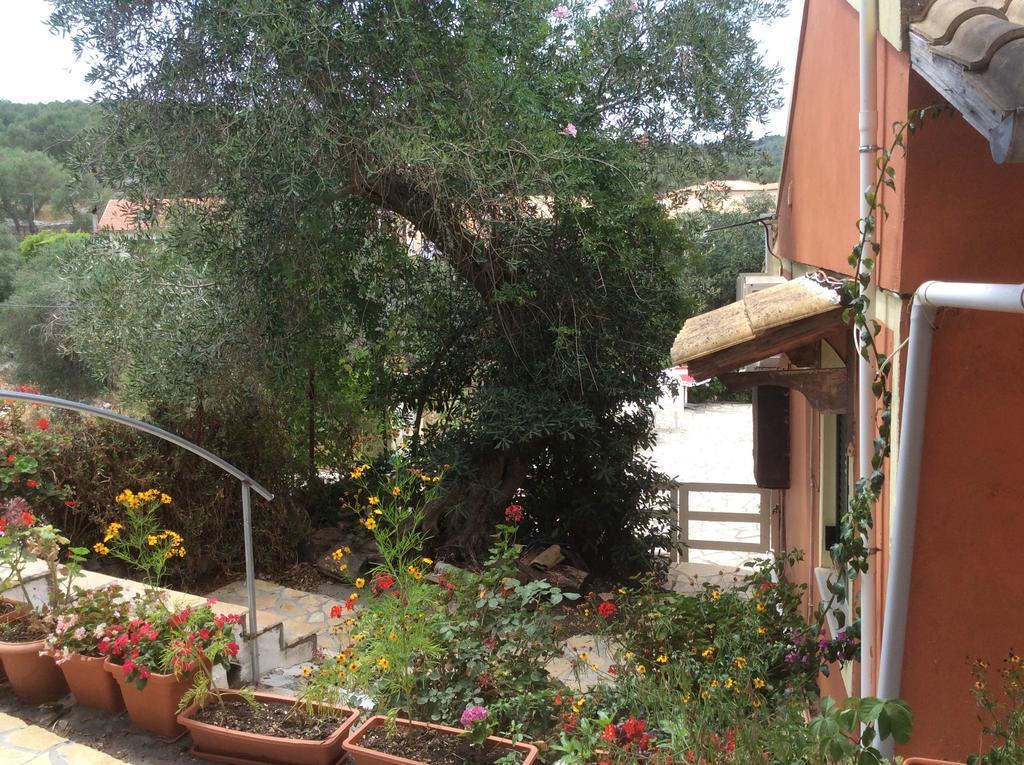 Paxos Bonzai Studios Gaios Camera foto